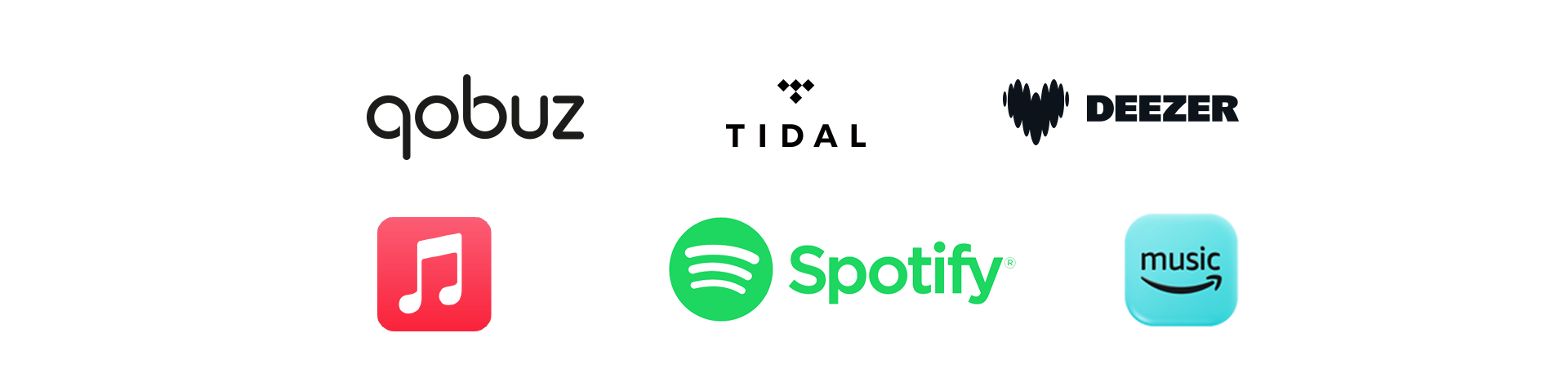 DMP-A1 Streaming Services